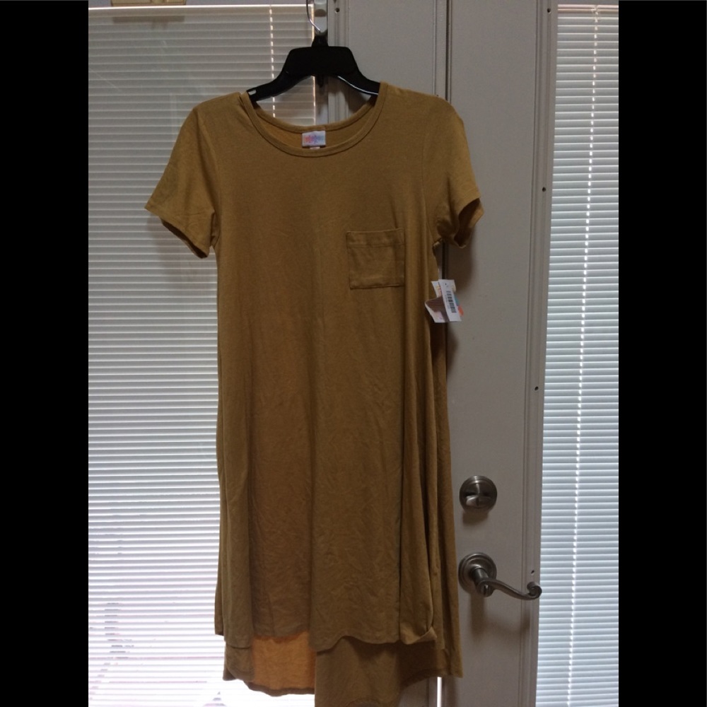 LuLaroe Carly gently worn twice